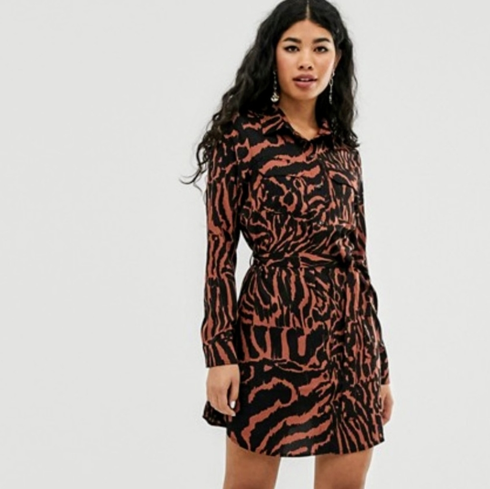 ASOS Brave Soul Alexia Animal Print Shirt Dress